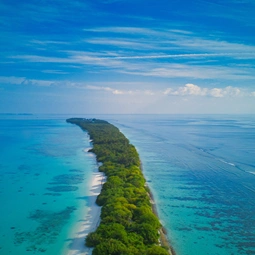 Dhigurah Whaleshark Beach